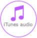 iTunes Audio Icon